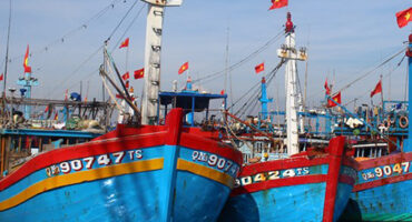 Bảo hiểm thân tàu cá