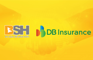 BSH_DBI-01