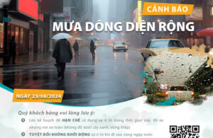 website_Ngay-23_08