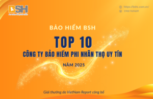 BSH tiếp tục lọt Top 10 công ty bảo hiểm phi nhân thọ uy tín năm 2025