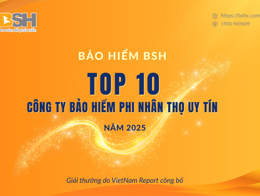BSH tiếp tục lọt Top 10 công ty bảo hiểm phi nhân thọ uy tín năm 2025