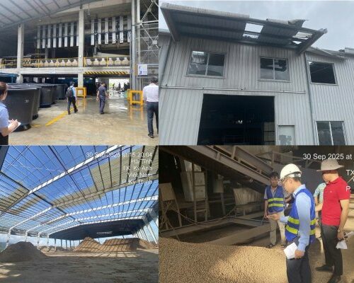 Bảo hiểm tài sản - kỹ thuật BSH: chìa khóa giúp khách hàng phục hồi tổn thất sau bão