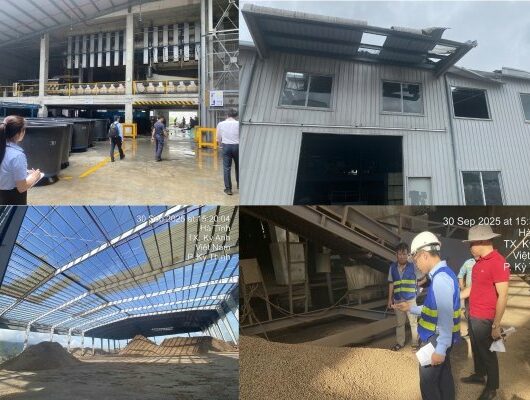 Bảo hiểm tài sản – kỹ thuật BSH: chìa khóa giúp khách hàng phục hồi tổn thất sau bão