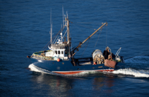 Thiết kế chưa có tên (44)