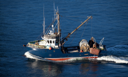 Thiet ke chua co ten 44