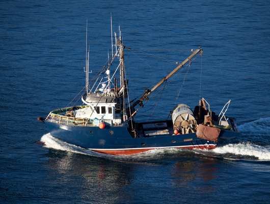 Những rủi ro nào không được bảo hiểm tàu thủy chi trả?