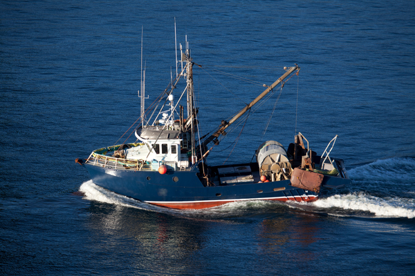 Thiet ke chua co ten 44