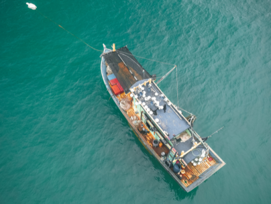 Các loại bảo hiểm tàu thủy phổ biến hiện nay