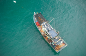 bảo hiểm tàu thủy là gì thumb