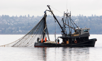 các gói bảo hiểm tàu thủy