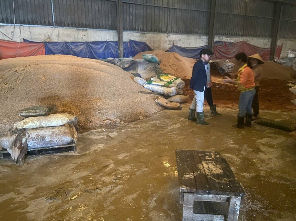 Thiên tai năm 2025 dồn dập trái quy luật: Giải pháp bảo vệ tài sản toàn diện từ Bảo hiểm BSH